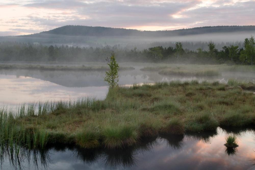 Penzion U Provaznika Zdikov ภายนอก รูปภาพ