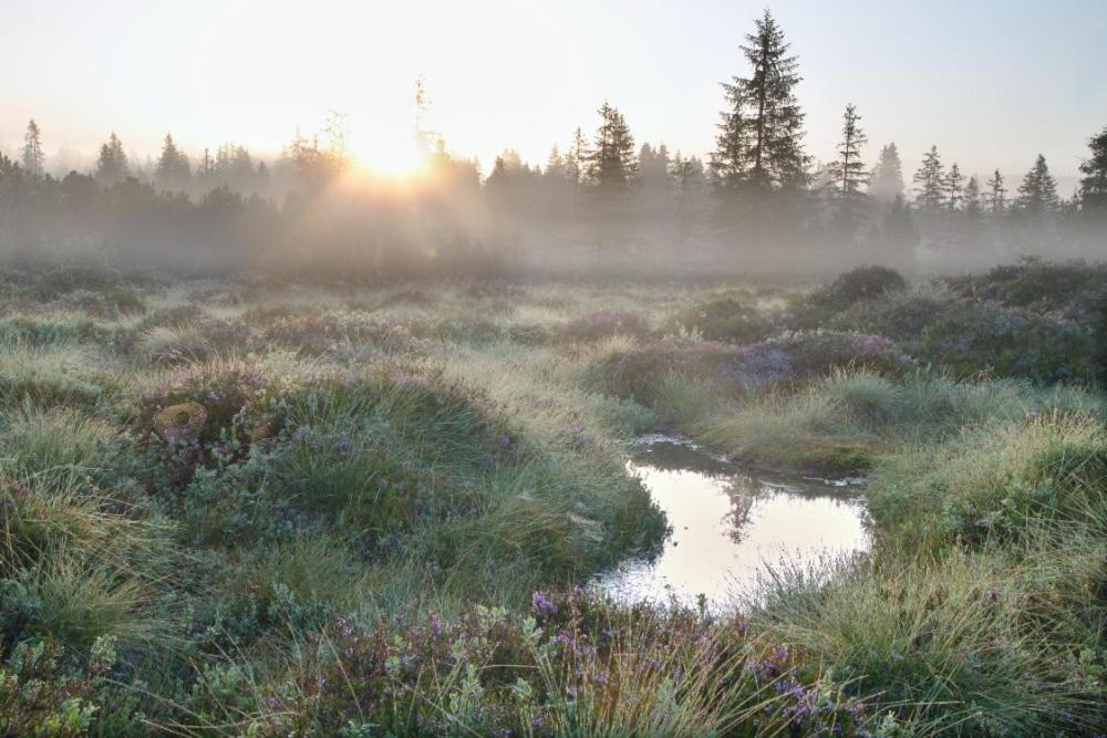 Penzion U Provaznika Zdikov ภายนอก รูปภาพ