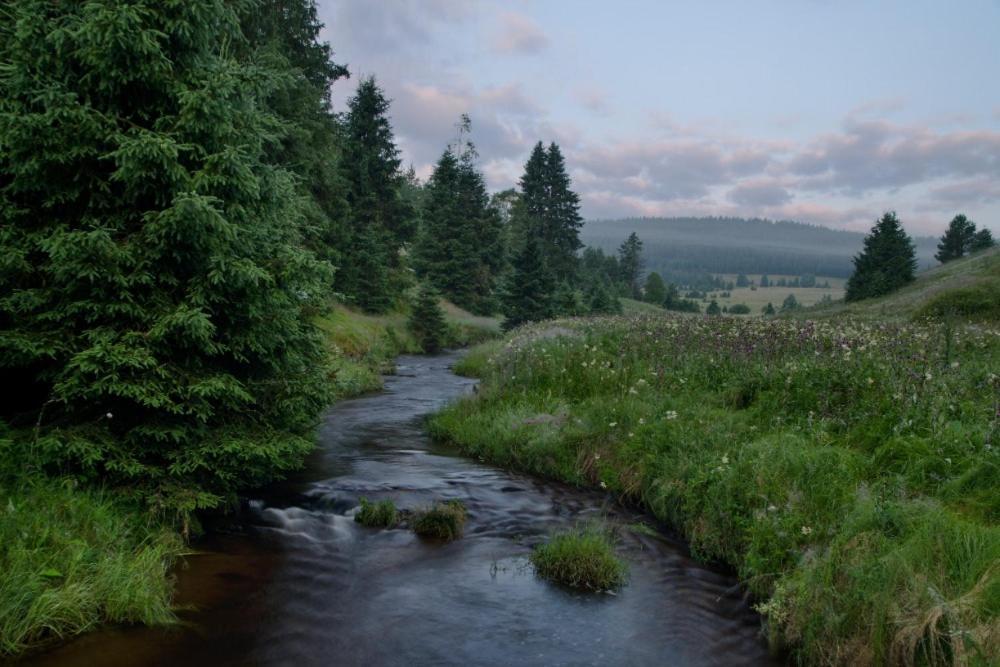 Penzion U Provaznika Zdikov ภายนอก รูปภาพ